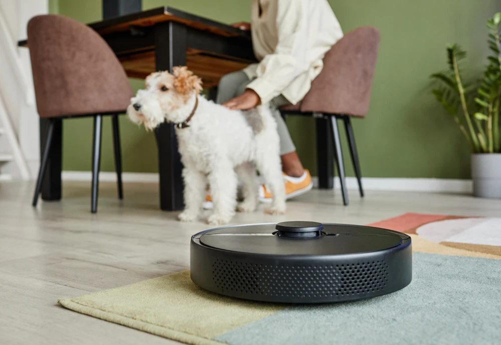 self cleaning robotic vacuum