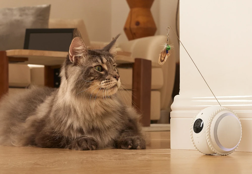 best home camera for pets