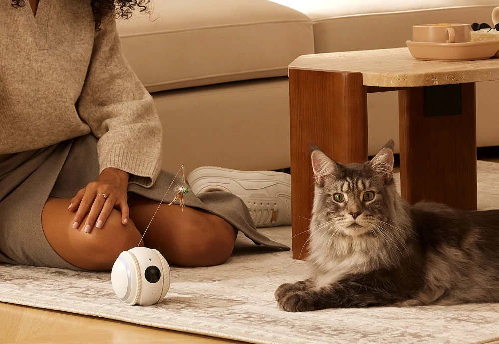 best pet indoor camera