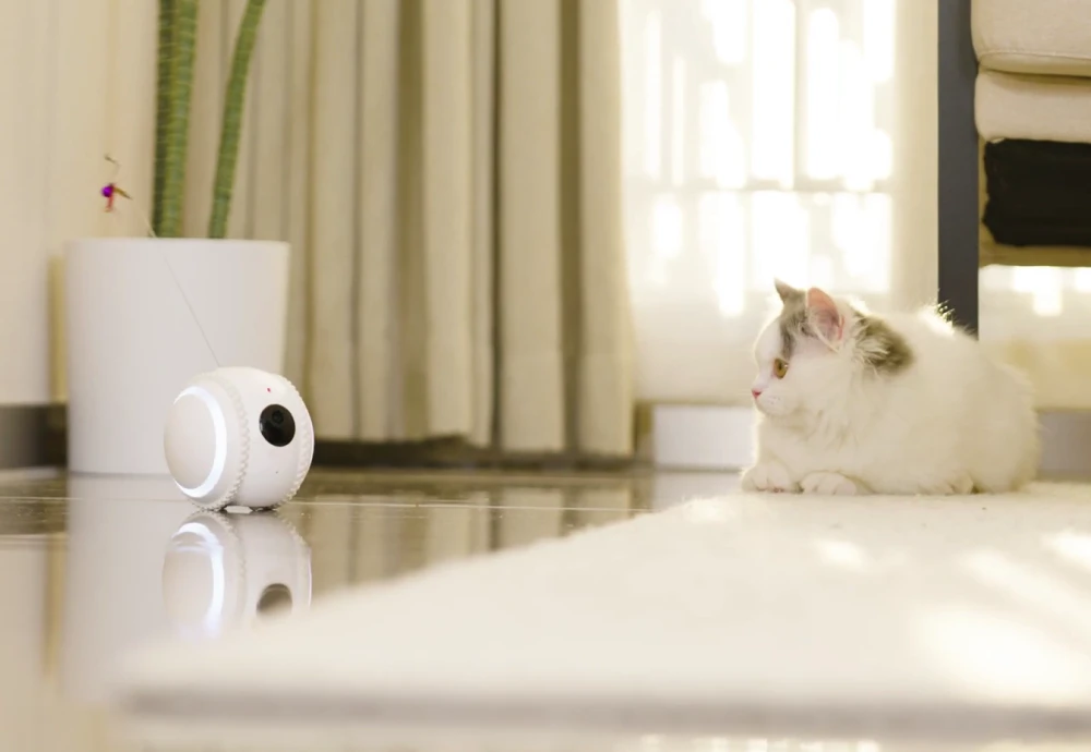 pet surveillance camera