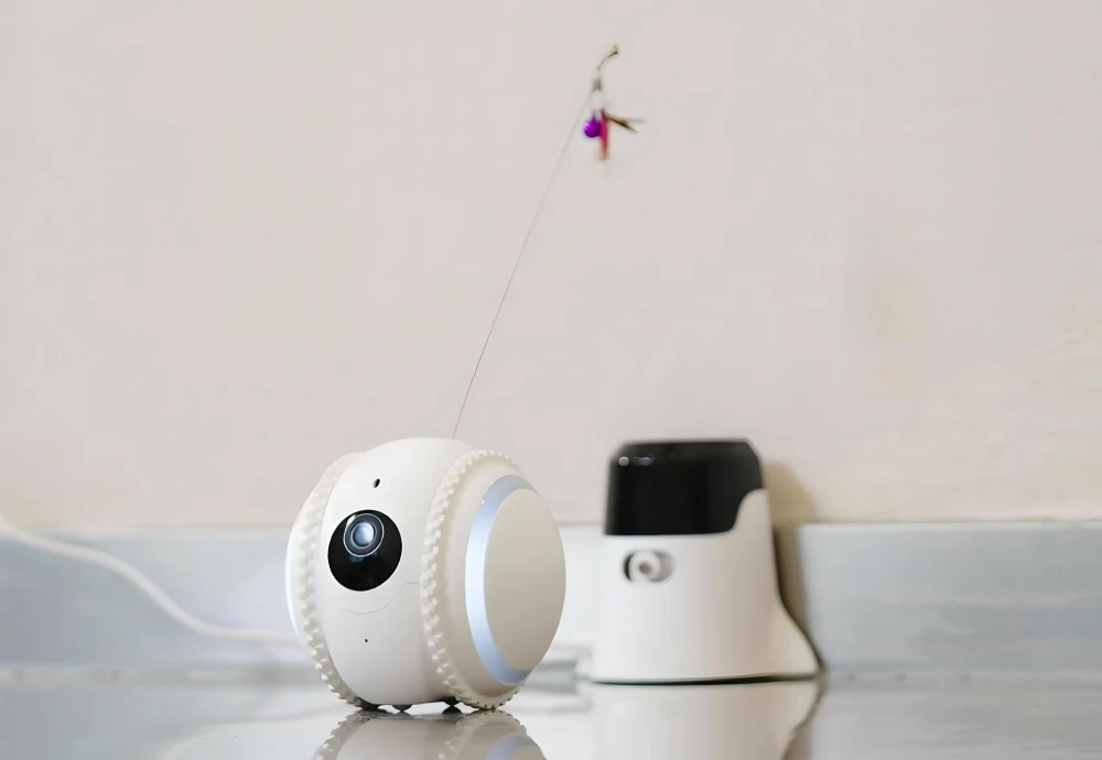 wireless outdoor pet camera