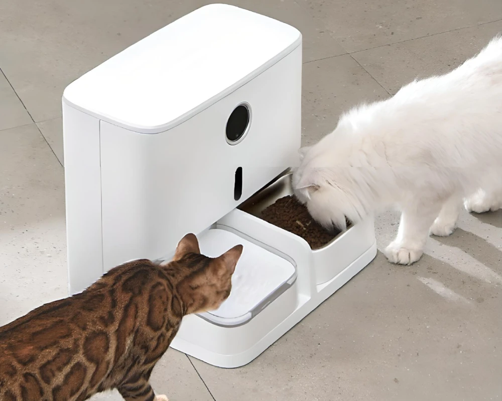 automatic pet feeder for multiple cats