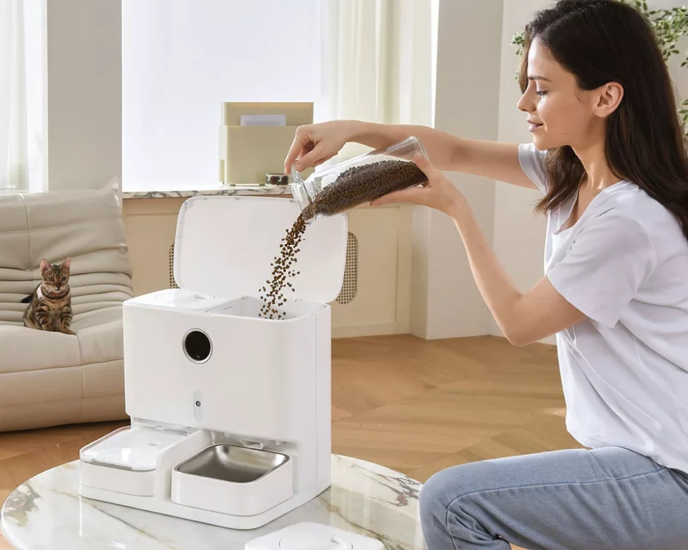 automatic pet feeder for multiple cats