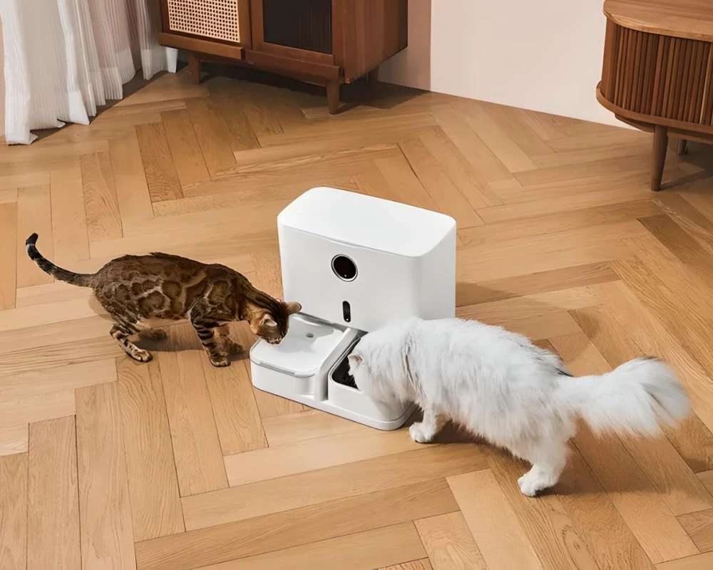 automatic pet feeder with camera